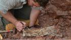 فسیل ۸۶ میلیون ساله «اژدهای مرگ» کشف شد