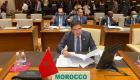 المغرب يحذر من "مؤشرات حمراء للإرهاب" بأفريقيا