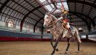 Paris offre un cheval de la Garde républicaine à Elizabeth II pour son jubilé