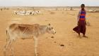 الجفاف يهدد حياة 7.1 مليون شخص في الصومال.. تحذير أممي