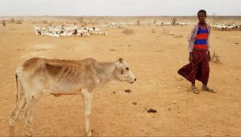 الجفاف يهدد الصومال
