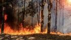 Grèce : un feu de forêt menace une banlieue sud d'Athènes