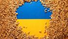 أوكرانيا تكشف مفاجأة بشأن صادرات الحبوب في شهور الحرب.. ما هي؟