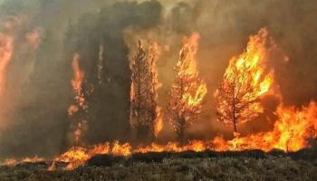 حريق يجتاح غابات لبنان