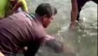 ویدیو | نجات یک فیل دریایی مجروح به دست روستاییان تایلندی