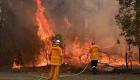 İspanya'nın güneyinde orman yangını: 3 itfaiyeci yaralandı