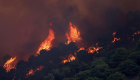 İspanya’daki orman yangınında 2 bin hektarlık alan kül oldu