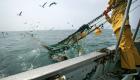 OMC : les négociations pêche et Covid-19 désormais aux mains des ministres