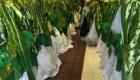 گزارش تصویری | ۷۰ زوج کابلی در جشنی بدون ساز و آواز با هم ازدواج کردند