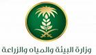 السعودية تعلن عن وظائف في وزارة البيئة.. الشروط ورابط التقديم