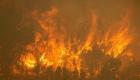 ویدئو | گسترش آتش‌سوزی در جنگل‌‌های اسپانیا