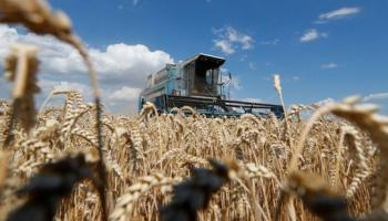 Guerre en Ukraine : menace de pénurie alimentaire mondiale