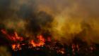 Marmaris Belediye Başkanı Oktay: Yangın söndürüldü