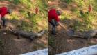ویدئو | پیرمرد استرالیایی با ماهیتابه یک کروکودیل غول پیکر را شکست داد!
