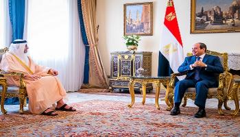 عبدالفتاح السيسي يلتقي الشيخ عبدالله بن زايد آل نهيان