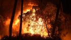 Deux morts dans des feux de forêt en Algérie