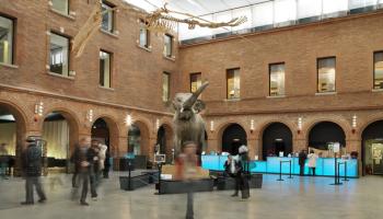 متحف التاريخ الطبيعي Muséum de Toulouse