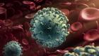 Coronavirus/Maroc : 4.003 personnes infectées dont 3 ministres