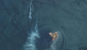 جزيرة الأفعى الأوكرانية - أرشيفية