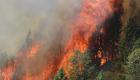 AFAD'dan 6 il için 'orman yangını' uyarısı