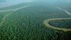 Amazonlar’da ormansızlaşma rekor kırdı