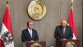 جانب من المؤتمر الصحفي لوزير خارجية مصر شكري ونظيره النمساوي ألكسندر 