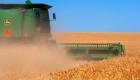 حصاد القمح الأوكراني يترقب المجهول.. عود كبريت أو السلام