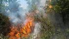 Beykoz'da orman yangını