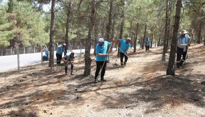 Orman Genel Müdürlüğü, milyonlarca ağacın kesim talimatını verdi