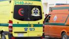 مصرع 9 سودانيين في حادث سير بصعيد مصر