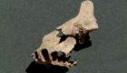 İspanya'da 1,4 milyon yaşında insan fosili bulundu