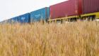 صادرات الحبوب الأوكرانية تتراجع 30٪.. أرقام موسم الحصار