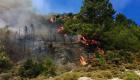 حريق غابات يستعر بفعل الرياح في تركيا