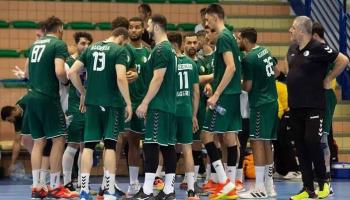 كأس أمم أفريقيا لكرة اليد