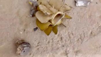 بقايا مقذوفات أطلقها الحوثيون على قرى ومخميات بتعز ولحج