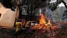 اندلاع 11 حريقا في غابات البرتغال.. و1900 رجل إطفاء يحاولون السيطرة 