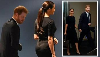 ميجان ماركل والأمير هاري