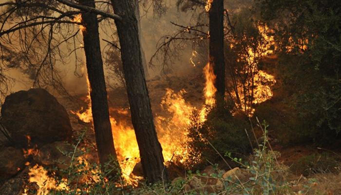 Muğla için yüksek sıcaklık ve orman yangını uyarısı