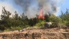 Adana'nın Sarıçam ilçesinde orman yangını