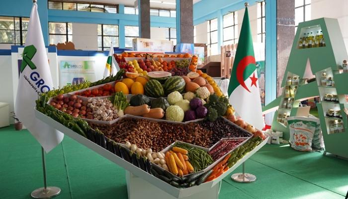 منتجات زراعية على شكل خارطة الجزائر