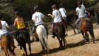 France : une quinzaine de blessés dans bousculade de poneys 