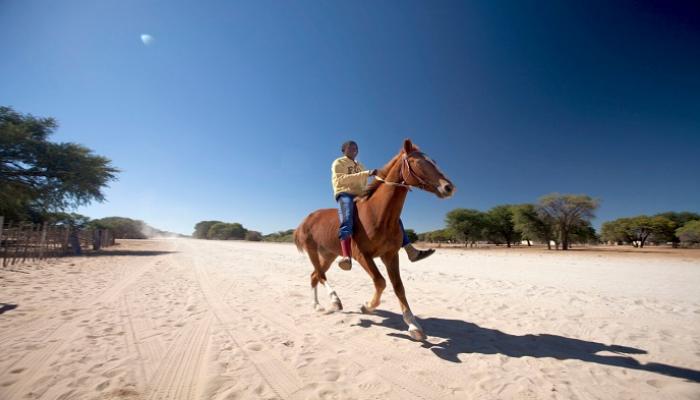 تتميز ناميبيا بالتنوع في المزارات السياحة
