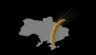 ممر آمن لحبوب أوكرانيا إلى العالم.. هل تهدأ أسعار الغذاء ويتلاشى ضباب الجوع؟