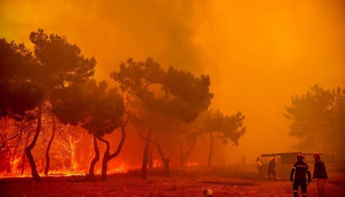 Midilli’de orman yangınlarıyla mücadele sürüyor