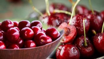 صادرات تركيا من الكرز