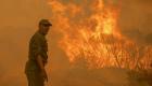 صراع مع النيران.. المغرب ينقذ 123 ألف هكتار من حرائق الغابات