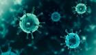 بـ420 جنيها مصريا.. مصر تطرح أول مضاد فيروسي لكورونا بالصيدليات