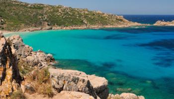 Climat/Méditerranée : des écosystèmes et des espèces en danger ! 