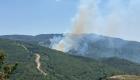 Çanakkale Biga'da orman yangını