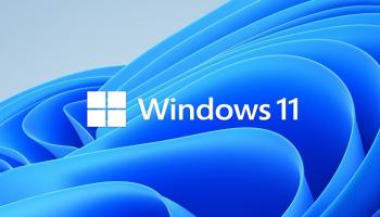 Windows 11